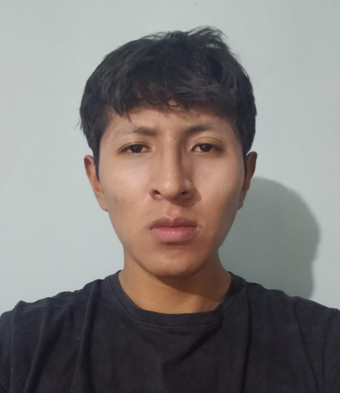 Univ. Brian Orlando Chiri Castillo