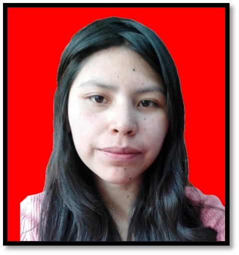 Univ. Romina Raquel Capo Llanque