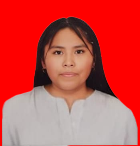 Univ. Mendoza Choqueticlla Daniela Ines