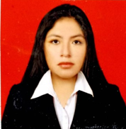 Univ. Arlett Darling Villca Callejas